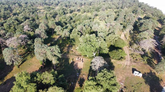 Aurtengo Babioko indusketa k 5 1753262254347