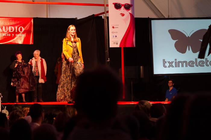 Laudioarrak izan ziren model 172 1508743663326