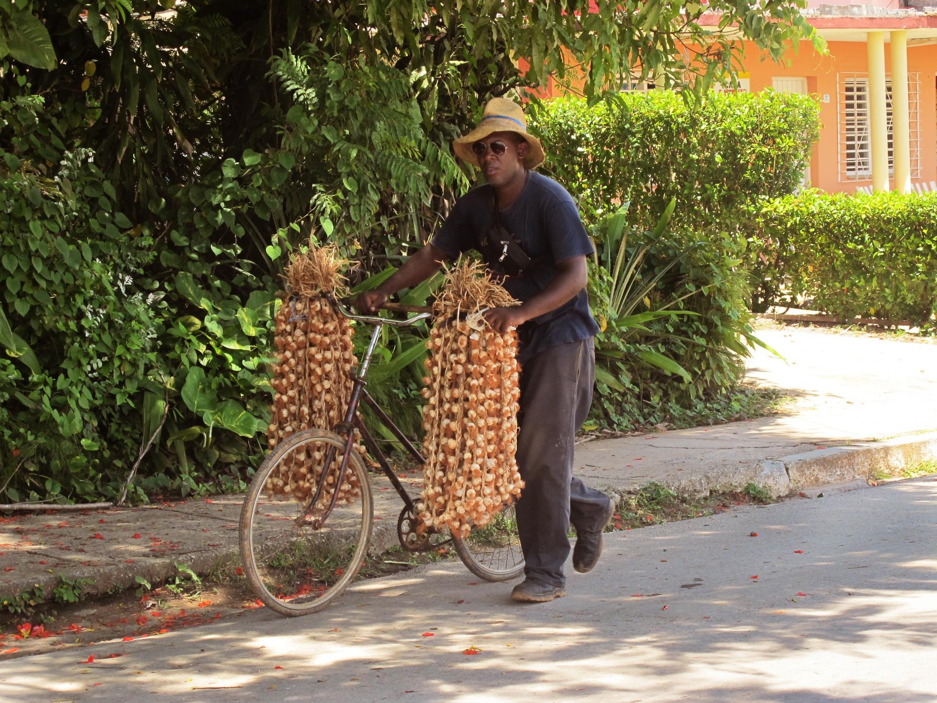 Viñaleseko berakatzak, Cuba