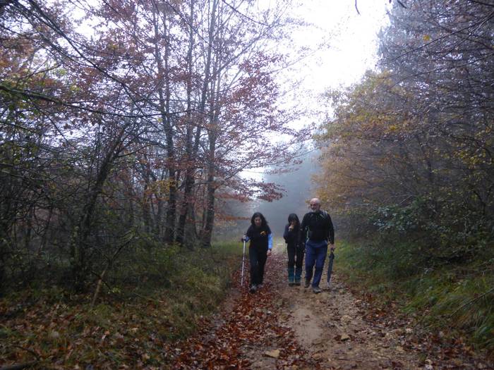 Laino artetik Santa Elena me 8 1511892501185