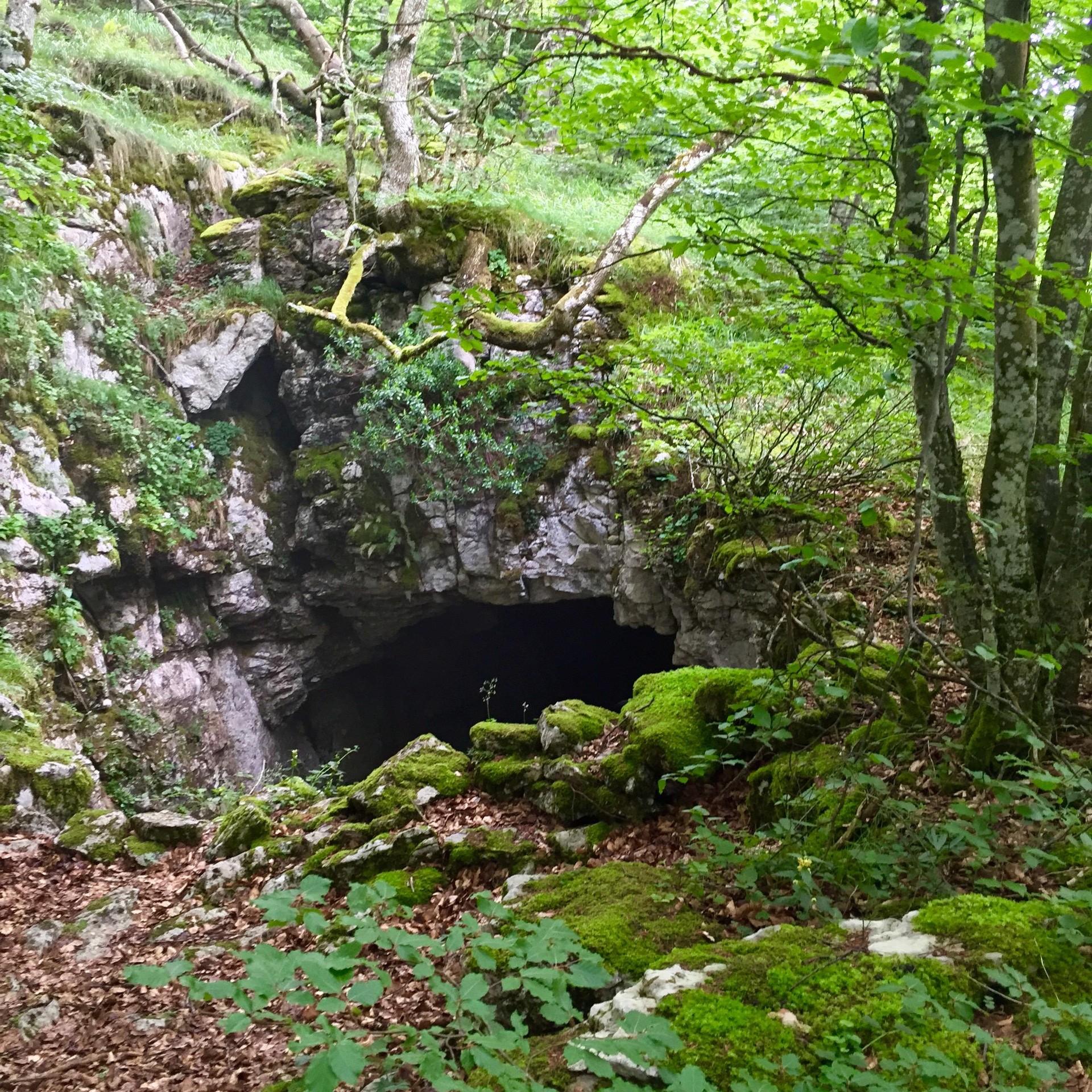 Kobazuloa