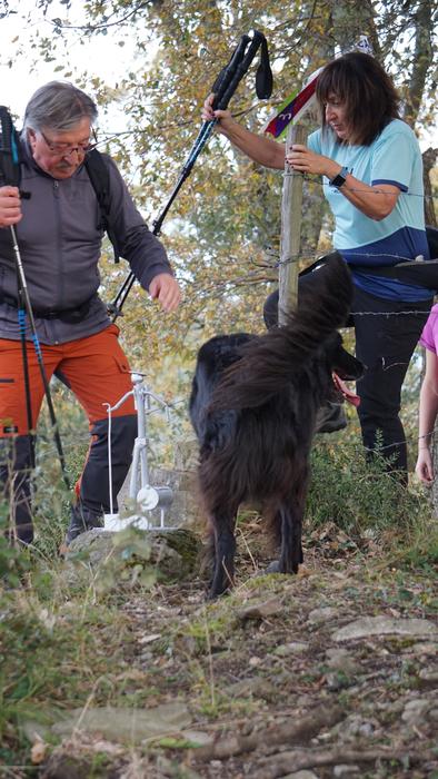 Omenaldiek bereziki hunkigar 39 1765401463475