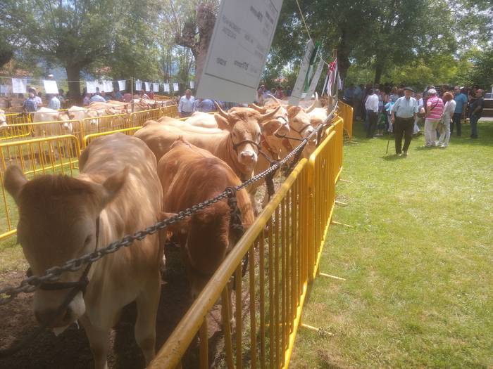 San Isidro Azokak jende ugar 66 1494853325009