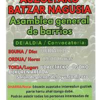 Auzoetako batzar nagusia