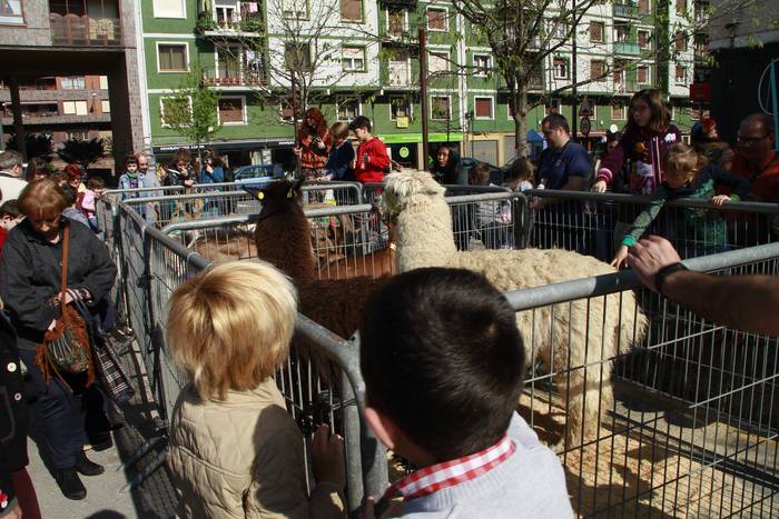 Dolumin Barikuak eta Korrika 6 1491596845938