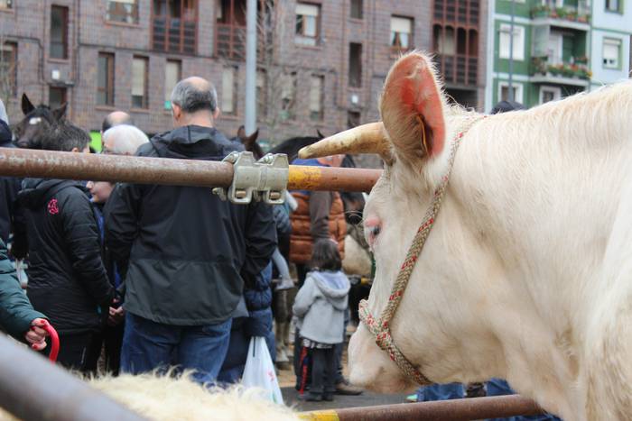 Ehunka lagunek berotu dute D 22 1521814048866