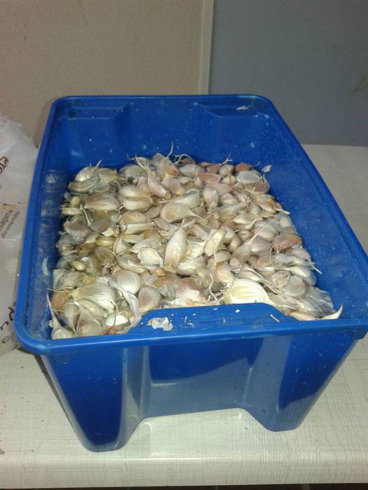 Egunez ere hartu zituzten hi 5 1526228592047