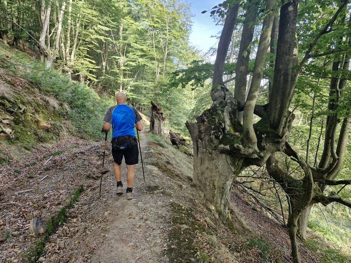 Mendi martxarekin abiatu dut 11 1758391875184