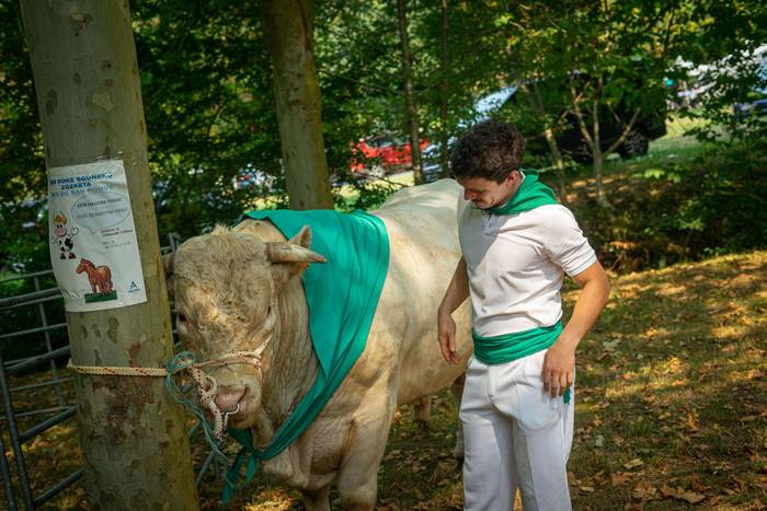 San Rokeko zelaiak bilakatu  25 1755350477735