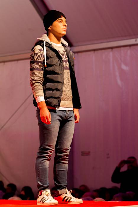 Laudioarrak izan ziren model 22 1508741691948