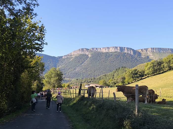 Adin guztietako mendizaleek  50 1760277226730