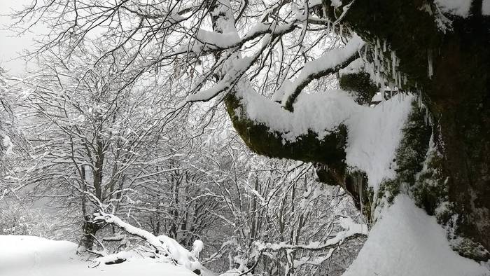 Gorbeialdea eta Orozko, elurtuta