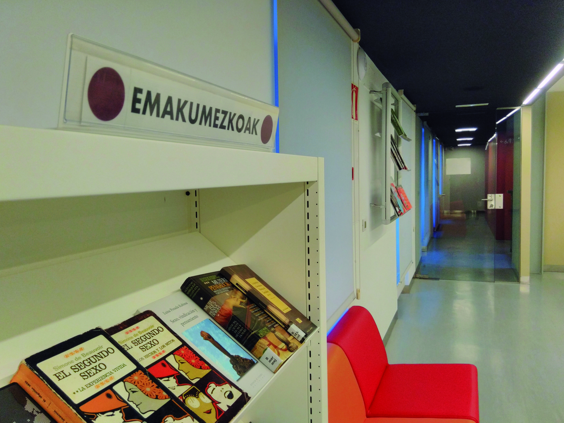 "Apal morea" jarri dute udal liburutegian, feminismoa hizpide duten 40 liburu baino gehiagorekin