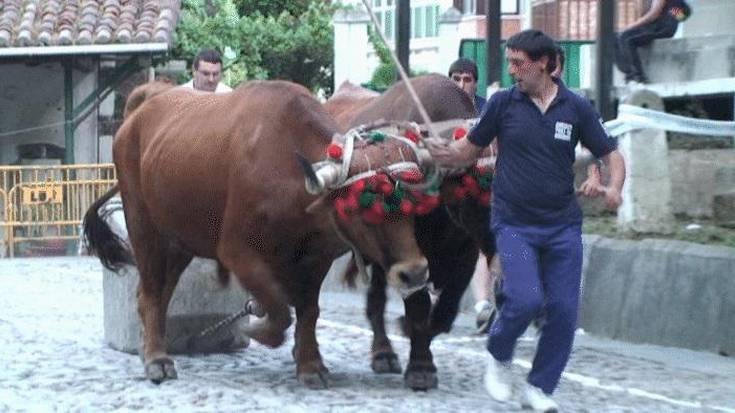 Gaur hasiko da idi-proben XLII. Torneoa  