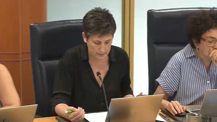 Aiaraldeko Biziberritze Plana lehenbailen ezartzea eskatu du EH Bilduk Legebiltzarrean