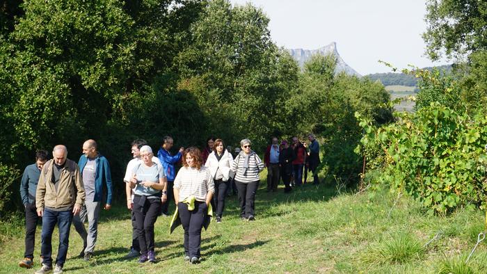 Txakolina Urduñan 21 1759234653684