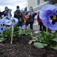 Indarkeria matxistaren aurkako elkarretaratzea Artziniegan