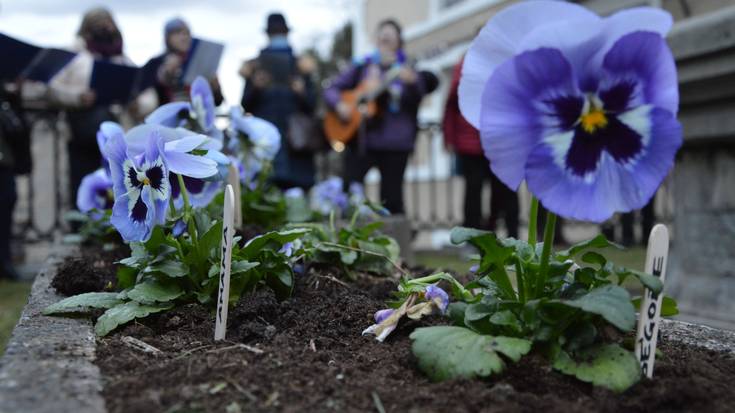 Indarkeria matxistaren aurkako elkarretaratzea Artziniegan