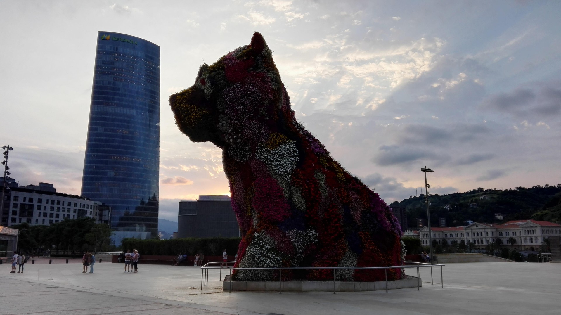 Puppy Iberdrola begiratzen