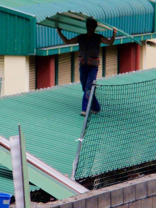 [KOMUNITATEA] Amiantoa Latio 3 1500981001348