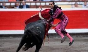 Iván Fandiño toreatzaile urduñarra zauritua