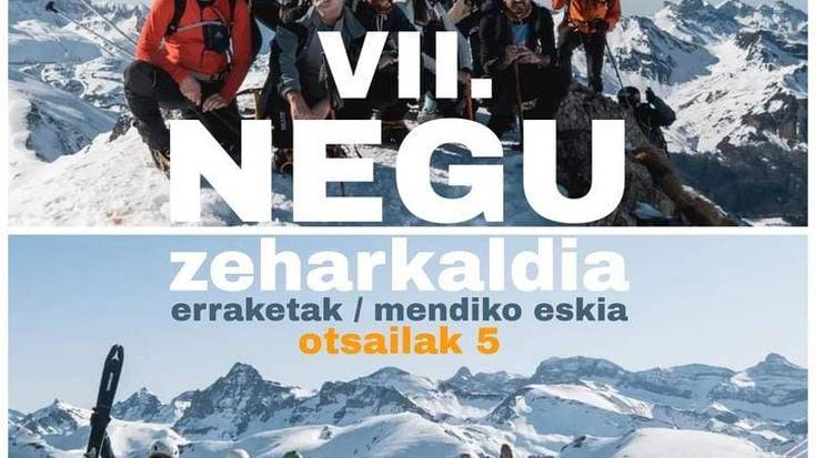 VII. Negu zeharkaldia