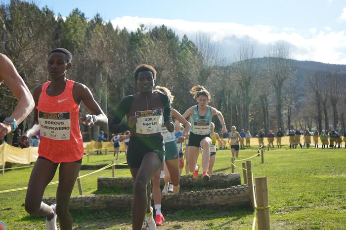 Amurrioko Nazioarteko Krosa  110 1766926983610