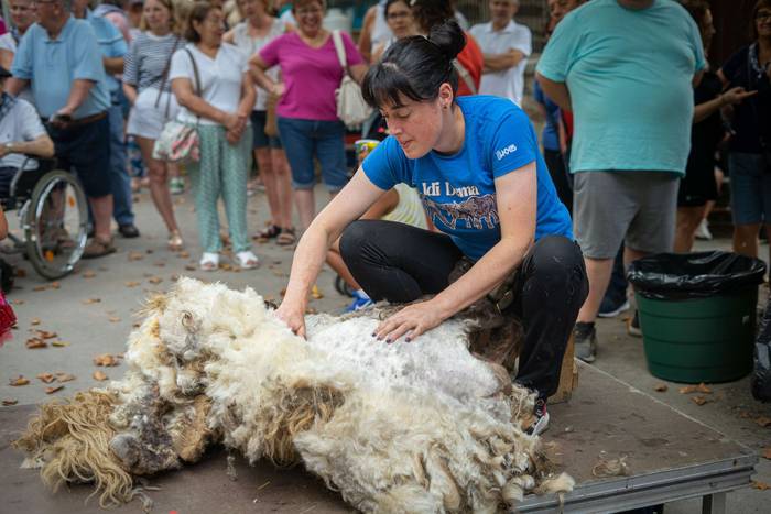 San Roke inguruan eman diete 28 1755434229536