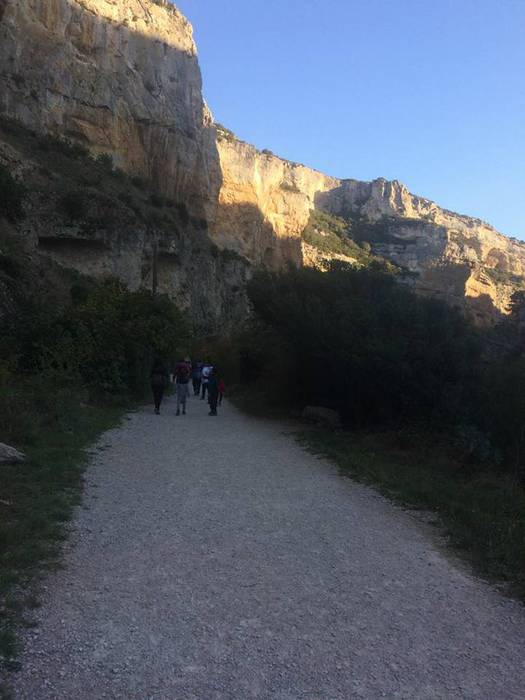 Iratiko basoan egon da asteb 18 1509432831230