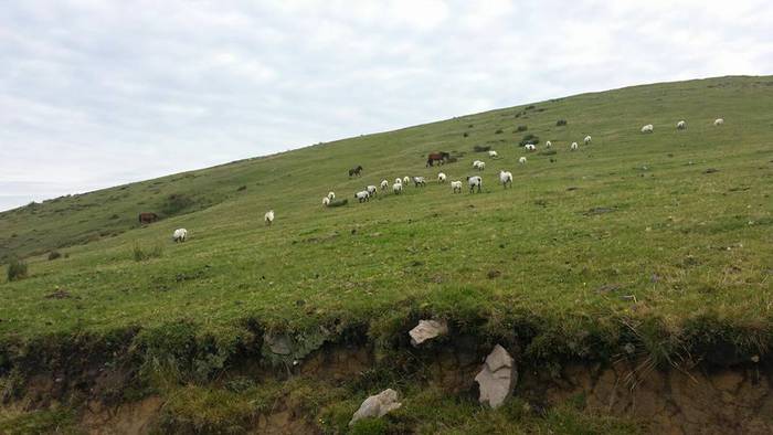 Gorbeiako txangoa argazkitan 1 1505713209846