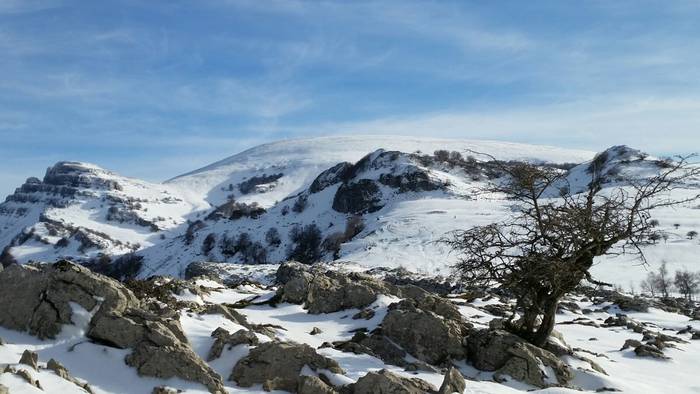 Edu Markinezen argazkiak 12 1513703448161