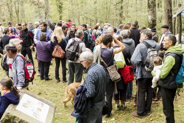 Jai giroa mendira igo dute O 53 1509352739836