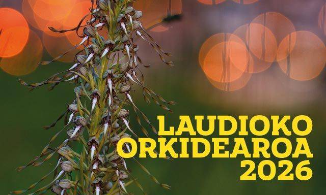Arrañoko Orkidea Basatiak III. Jardunaldiak