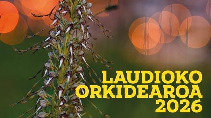 Arrañoko Orkidea Basatiak III. Jardunaldiak