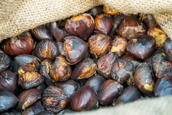 Jai giroa mendira igo dute O 59 1509352886322