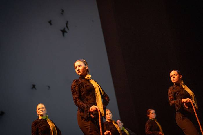 "Batzen gaituen aniztasunare 22 1772829087594