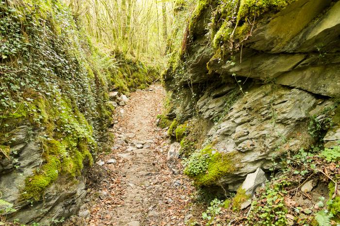 Jai giroa mendira igo dute O 31 1509351950170