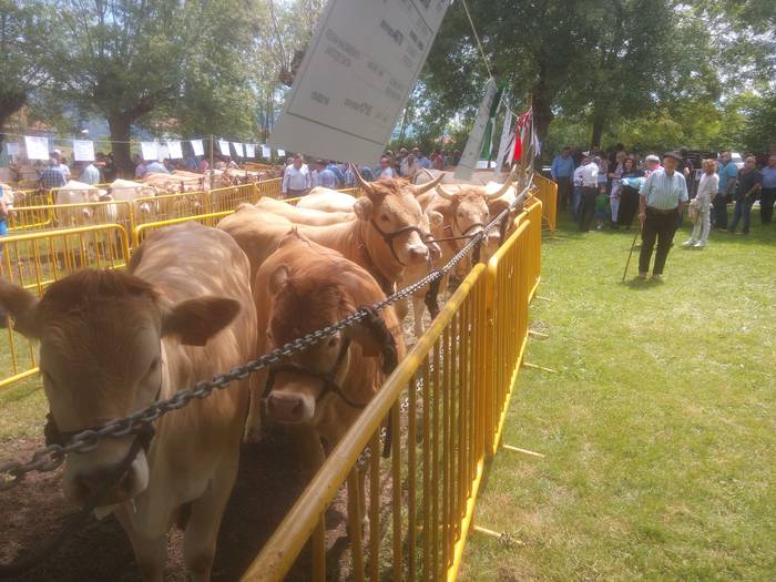 San Isidro Azokak jende ugar 67 1494853359435