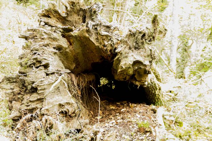 Jai giroa mendira igo dute O 38 1509352213927