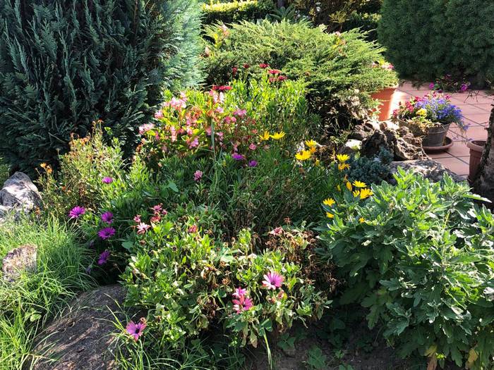 Ana Mari Mimenza (3)