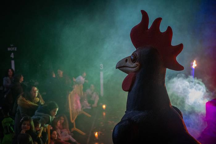 Carnesto oliarraren ehorzket 7 1771357581067