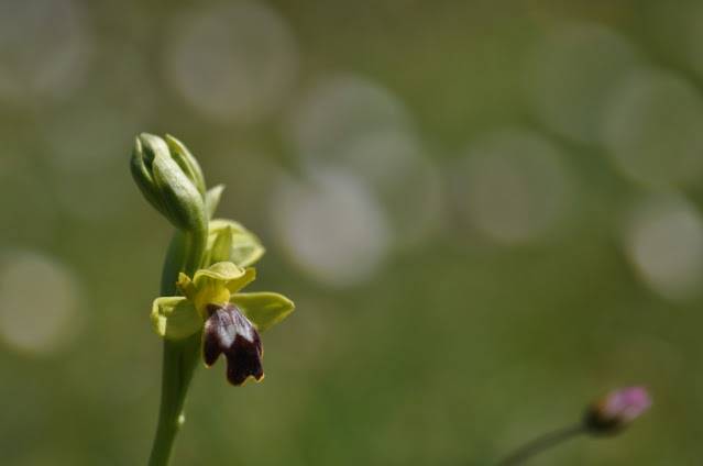 Itzultzeak 7 1619015039579