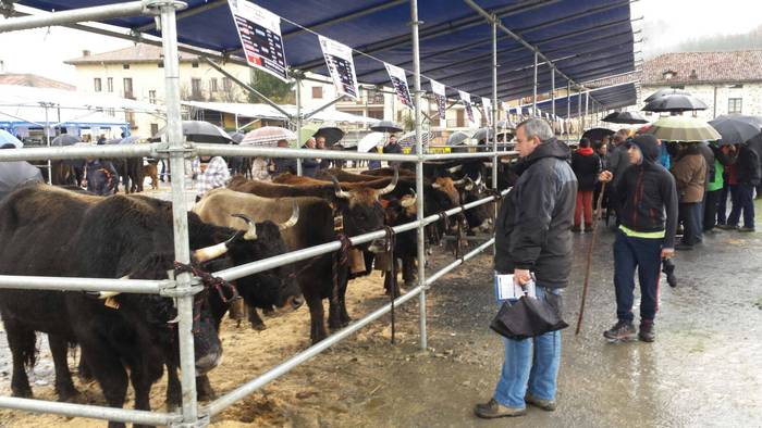 Eguraldi petrala izan arren, 23 1513617477027