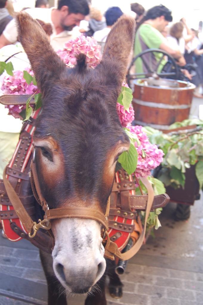 San Blasetarako dena prest du Kukutxe San Blas Feria elkarteak