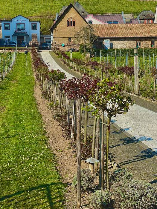 Laudio Institutuko ikasleak  9 1774257016008