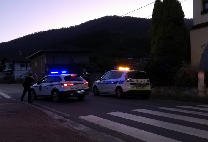 Auto batek bi ardi harrapatu eta hil zituen atzo Gardean