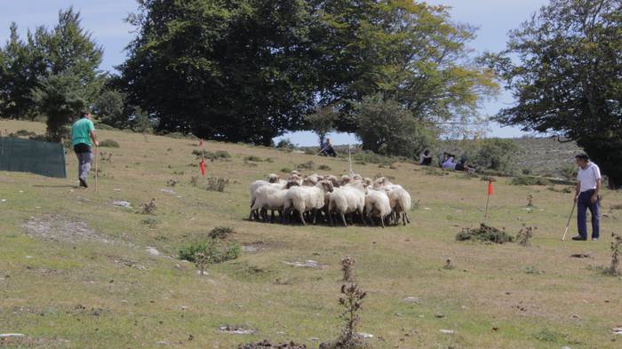 Sanbitoresak ospatzeko ehunk 185 1504513525622