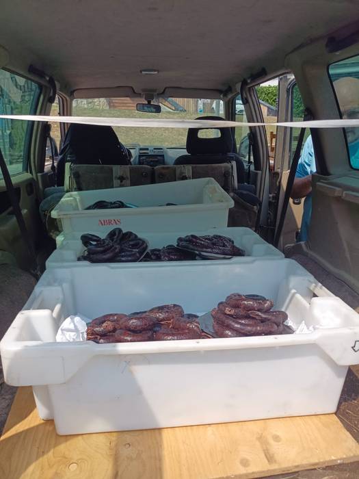 Arrankudiagako jaiek ez dute 10 1755386251364