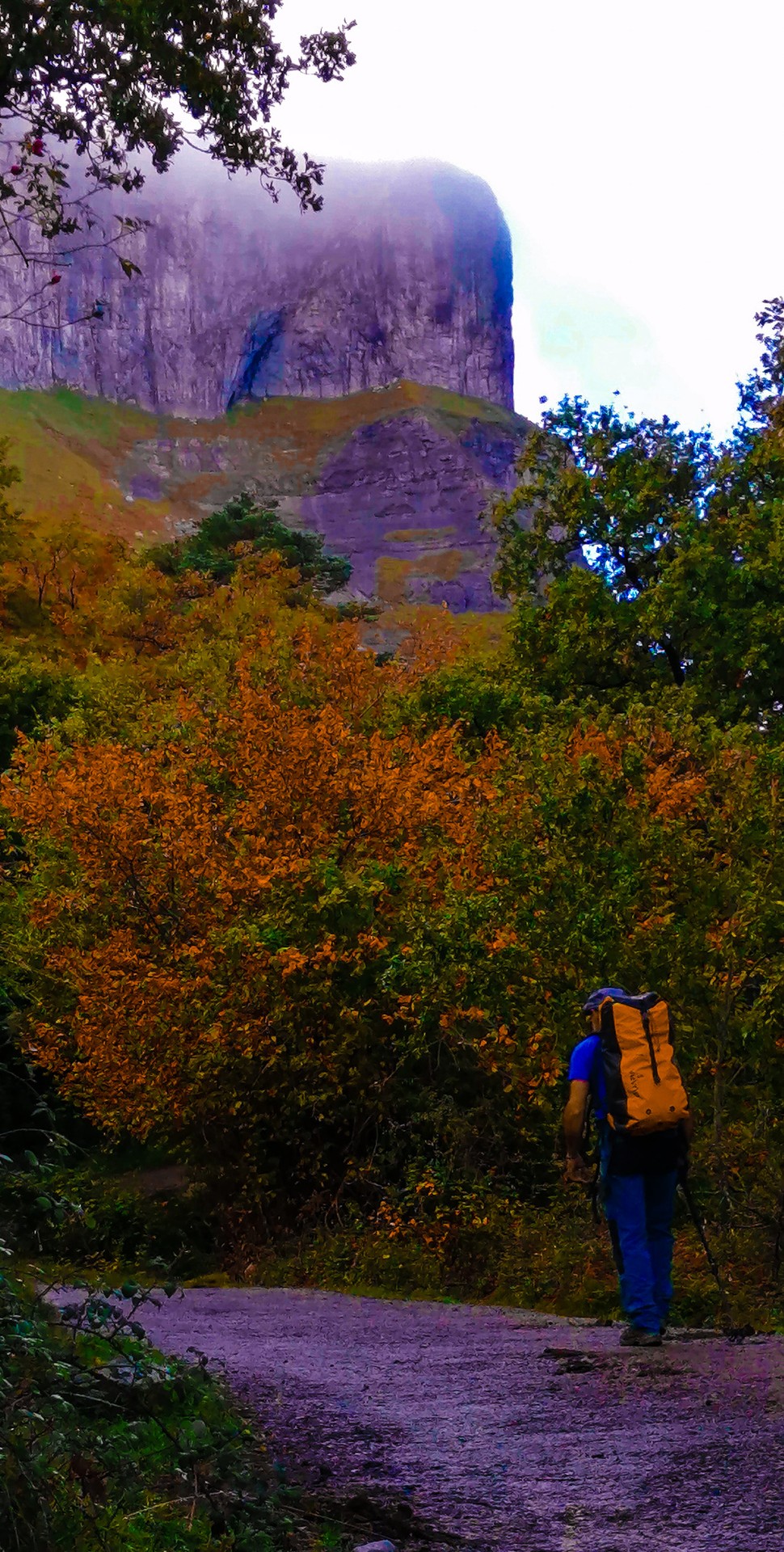 Aro