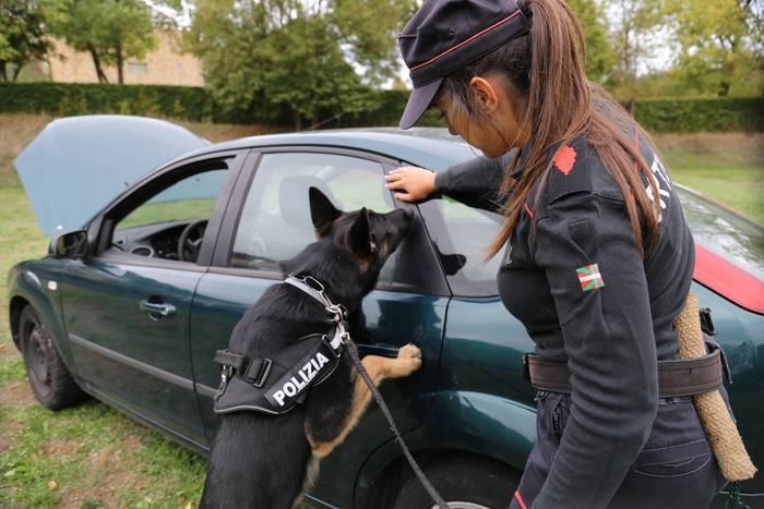 18 urteko bi gazte atxilotu ditu Ertzaintzak Amurrion, auto batean lapurtzeagatik